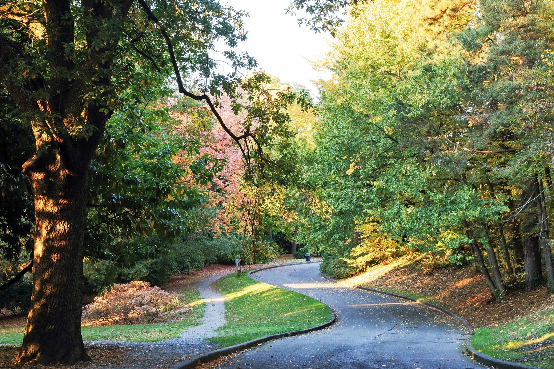 Best Neighborhoods in Seattle